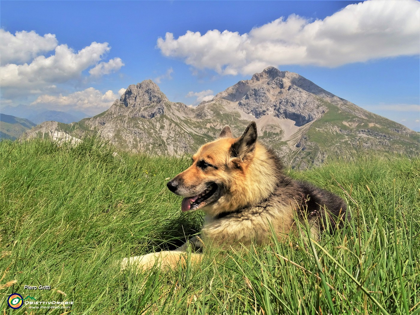 52 Dori riposa dopo ripida faticosa salita con panorama in Arera-Corna Piana.JPG